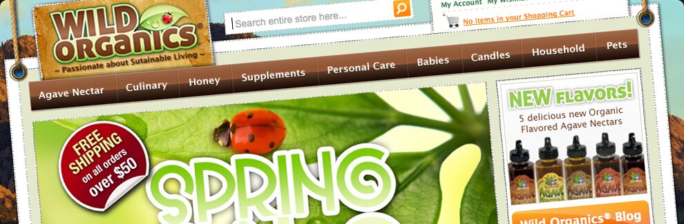 Magento Development